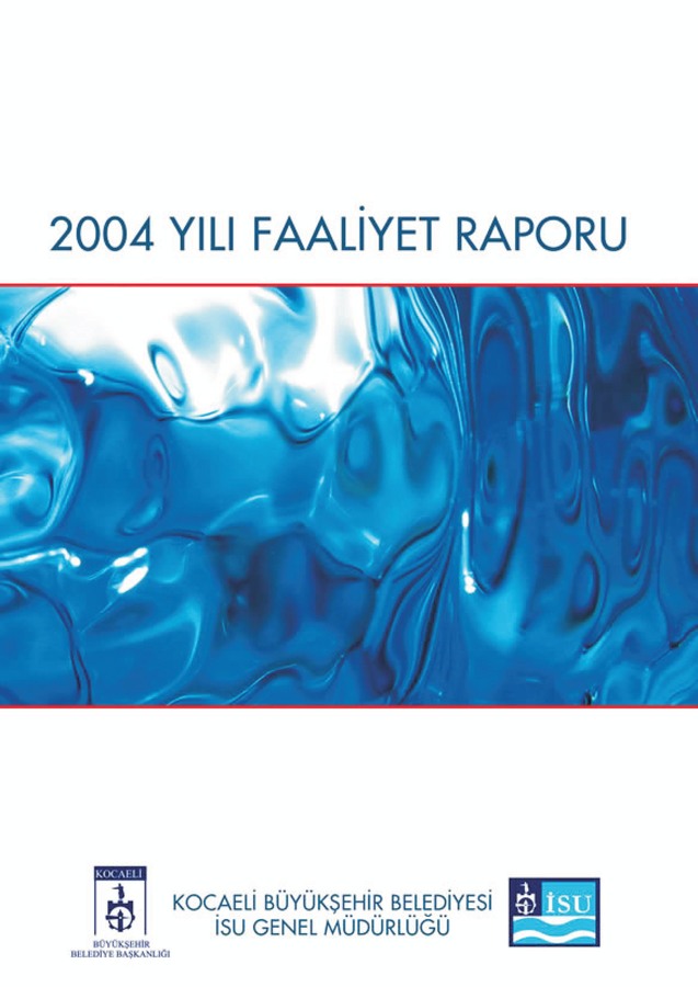 2004 Yılı