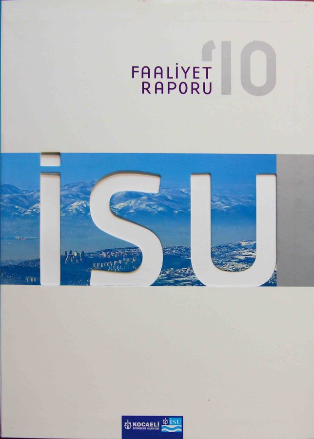 2010 Yılı