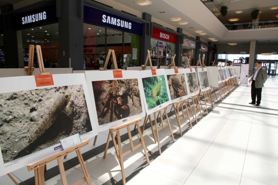 BÜYÜLEYİCİ HAYATLAR SUALTI SERGİSİ GEBZE’DE