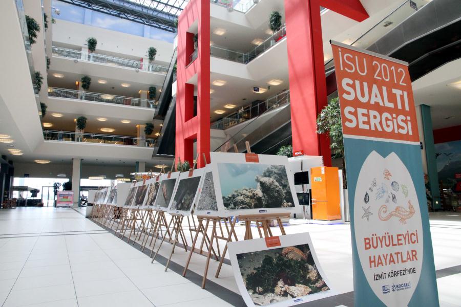 BÜYÜLEYİCİ HAYATLAR SUALTI SERGİSİ GEBZE’DE
