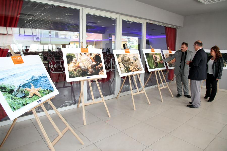 "BÜYÜLEYİCİ HAYATLAR"İLÇELERDE SERGİLENİYOR