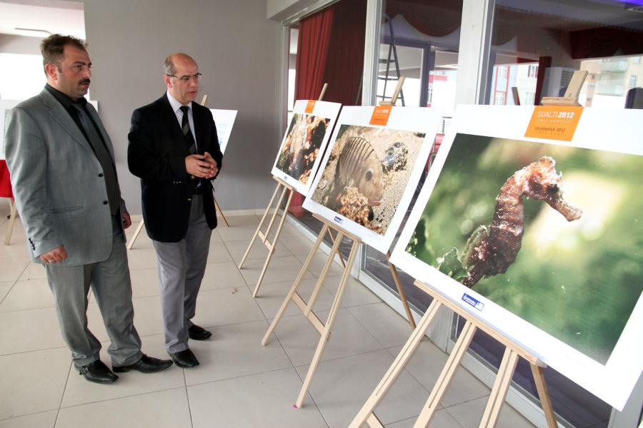 "BÜYÜLEYİCİ HAYATLAR"İLÇELERDE SERGİLENİYOR