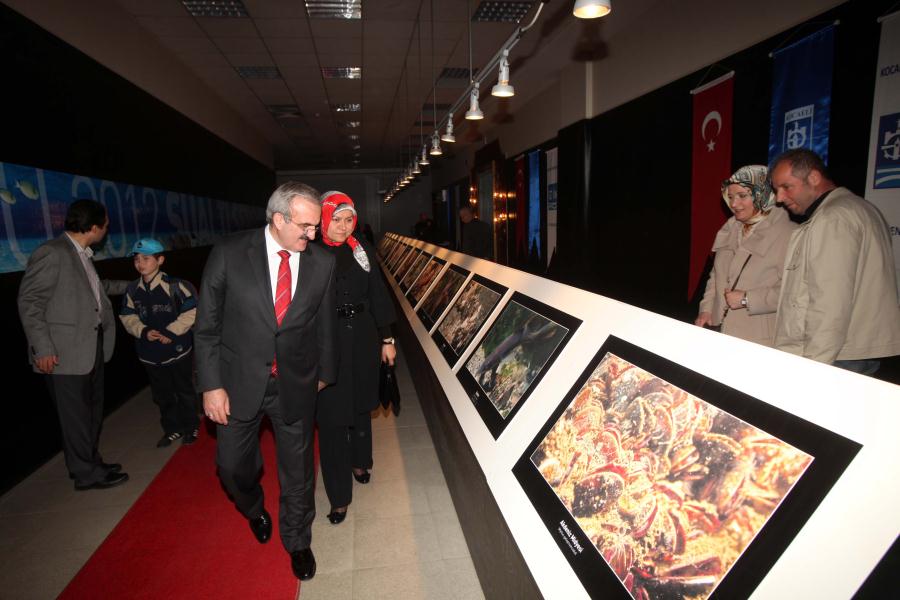 KÖRFEZ HARİKA BİR AKVARYUM OLDU