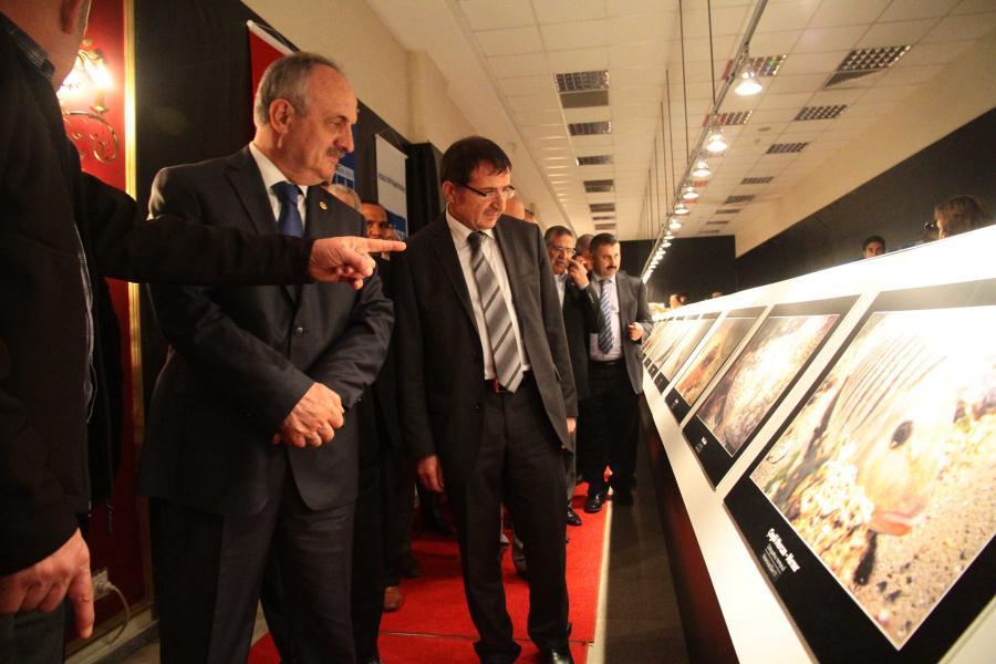 KÖRFEZDEKİ HAYAT FOTOĞRAFLARLA BELGELENDİ