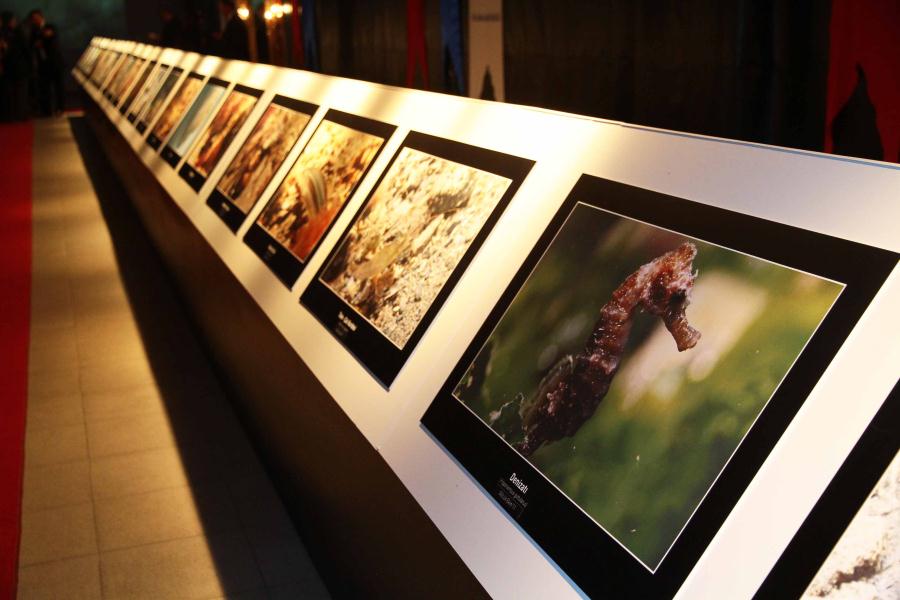 KÖRFEZDEKİ HAYAT FOTOĞRAFLARLA BELGELENDİ