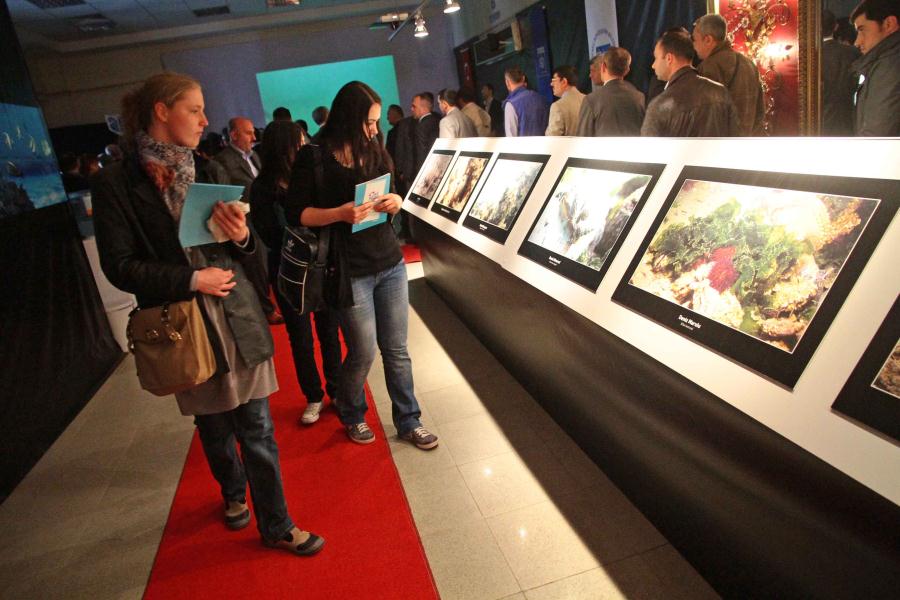 KÖRFEZDEKİ HAYAT FOTOĞRAFLARLA BELGELENDİ