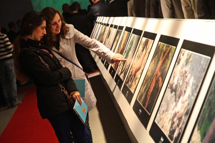 KÖRFEZDEKİ HAYAT FOTOĞRAFLARLA BELGELENDİ