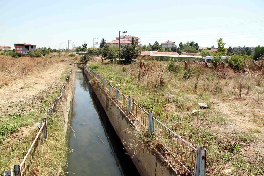 DARICA’DA DERELER TEMİZLENDİ