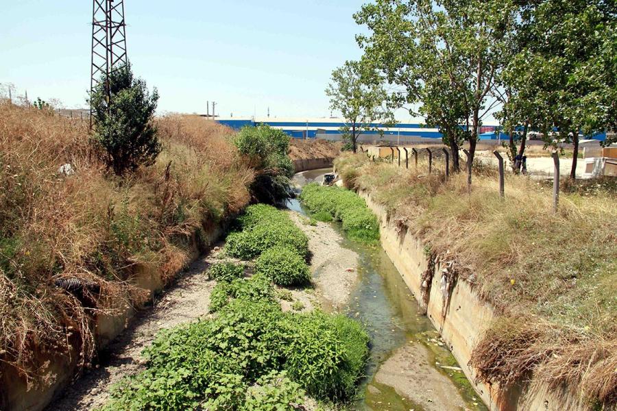 DARICA’DA DERELER TEMİZLENDİ