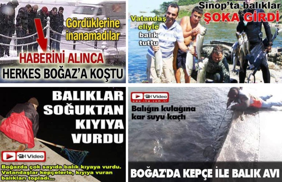 İZMİT KÖRFEZİ’NDE KİRLİLİK KESİNLİKLE YOK