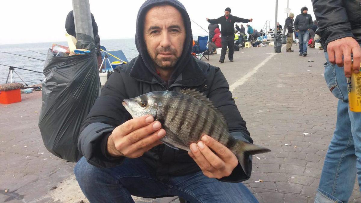 PROFESYONEL DALGIÇ ŞEN ''KALAMARLAR ÜREMEK İÇİN İZMİT KÖRFEZİ’Nİ SEÇİYOR''