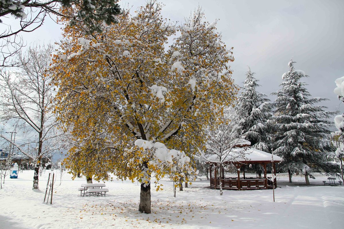 İSU’DA KIŞ  MANZARASI