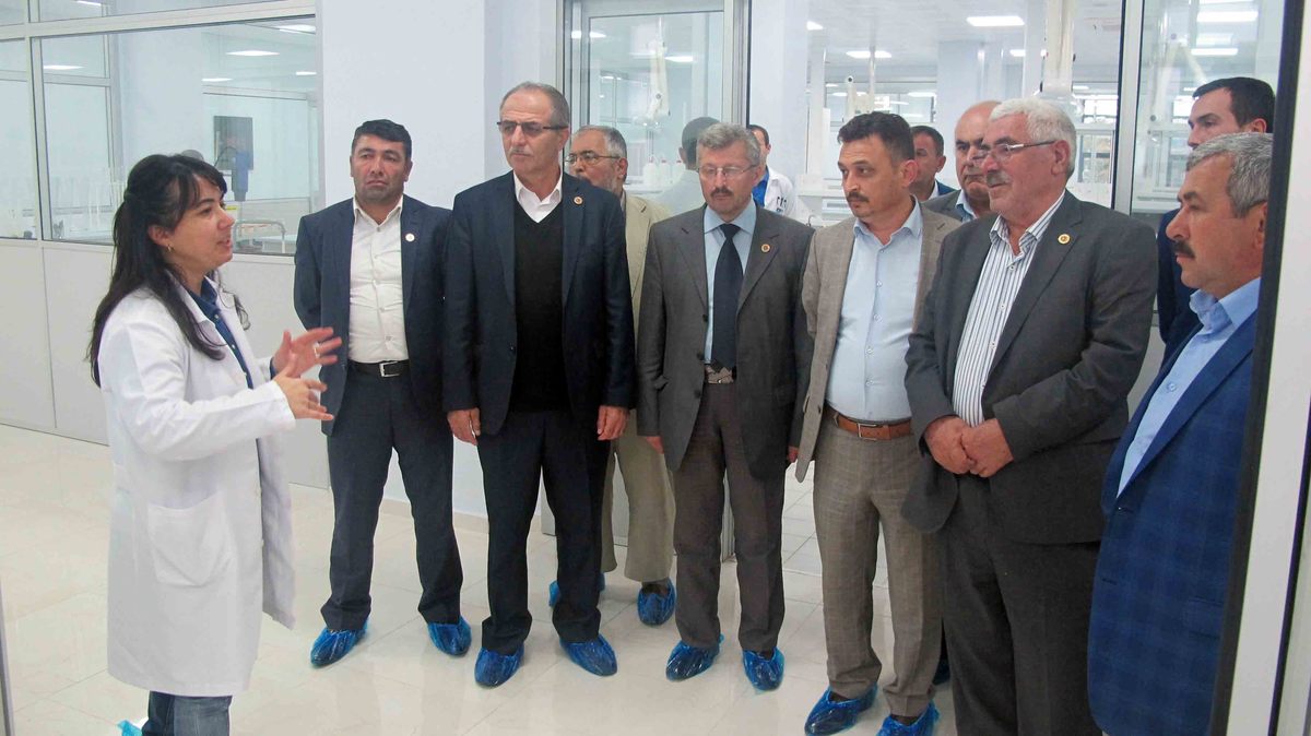 KÖRFEZ MAHALLE MUHTARLARI YATIRIMLARI GEZDİ