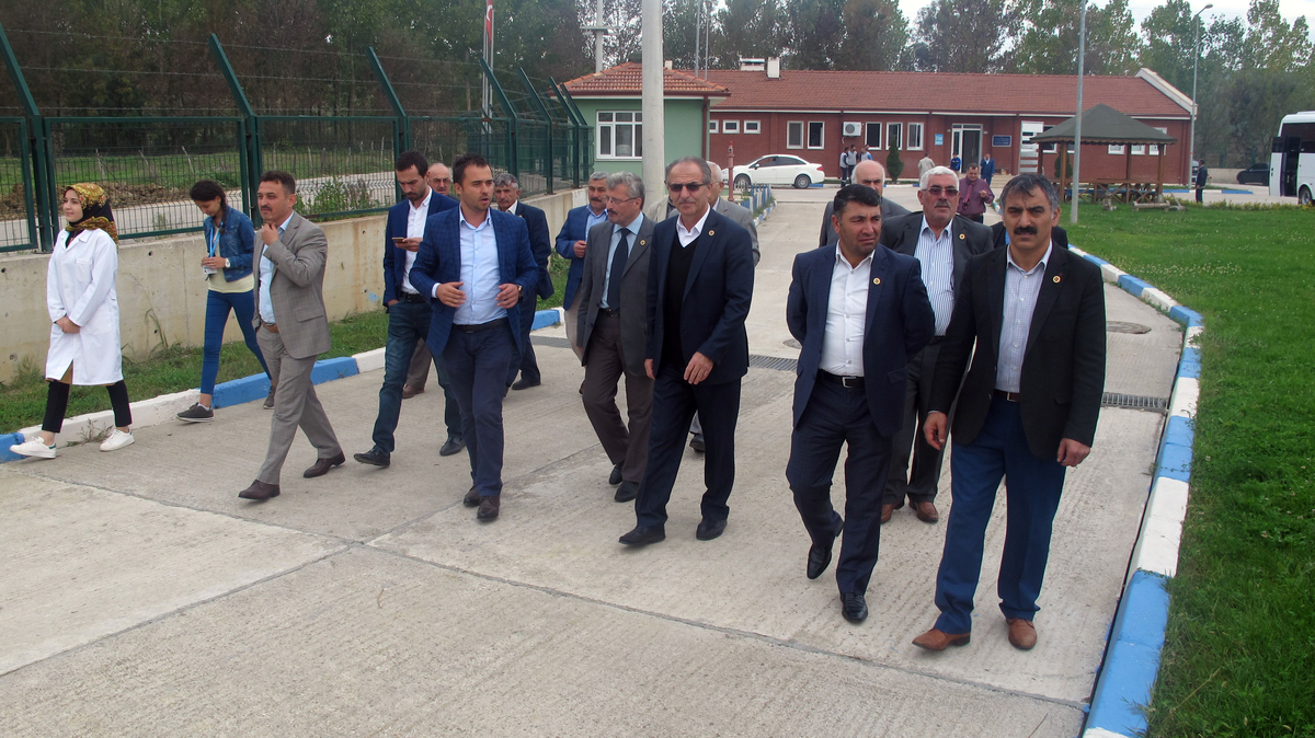 KÖRFEZ MAHALLE MUHTARLARI YATIRIMLARI GEZDİ