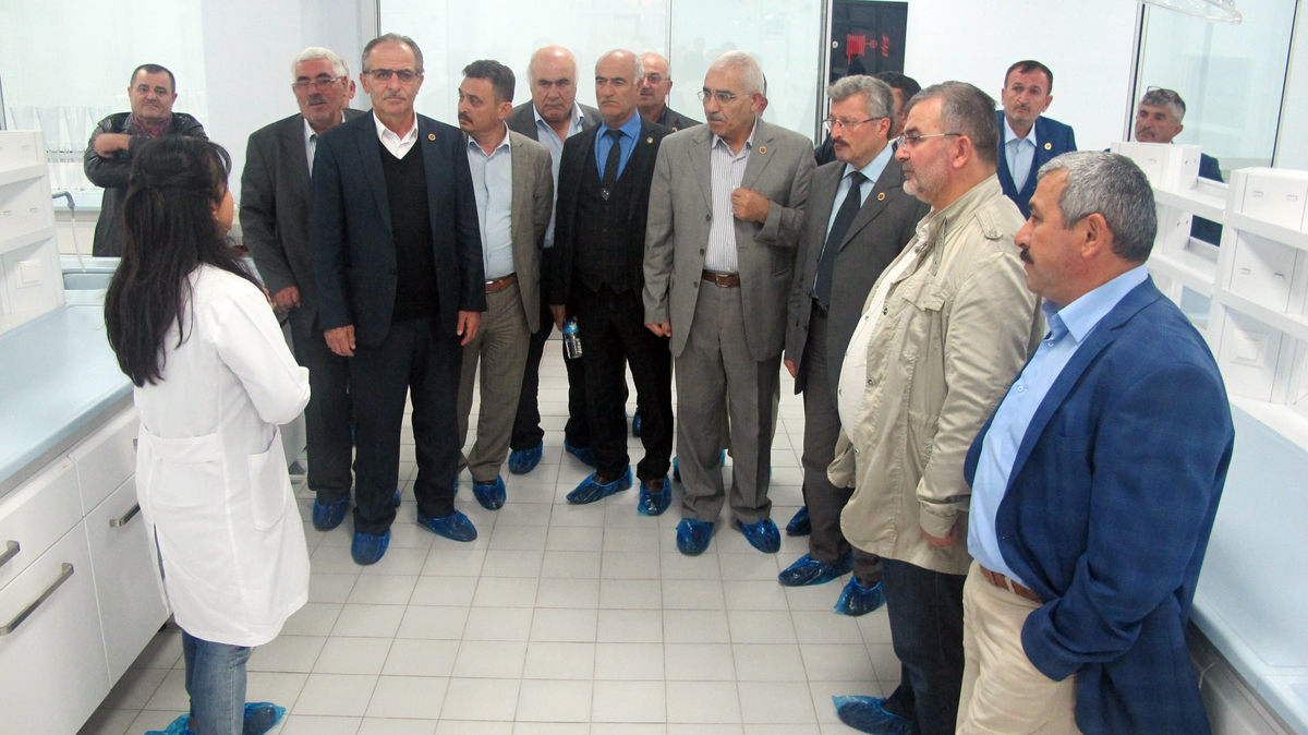 KÖRFEZ MAHALLE MUHTARLARI YATIRIMLARI GEZDİ