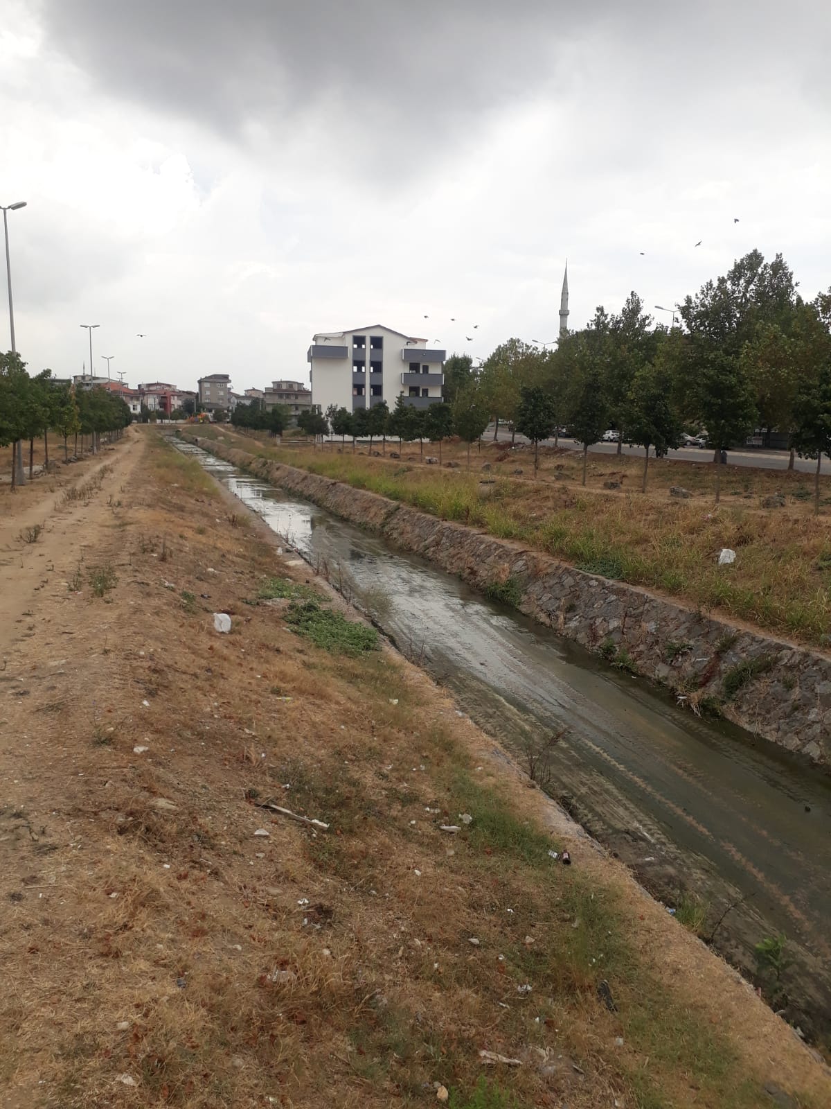 KOCAELİ'DE DERE TEMİZLİĞİ ÇALIŞMALARI ARALIKSIZ SÜRÜYOR