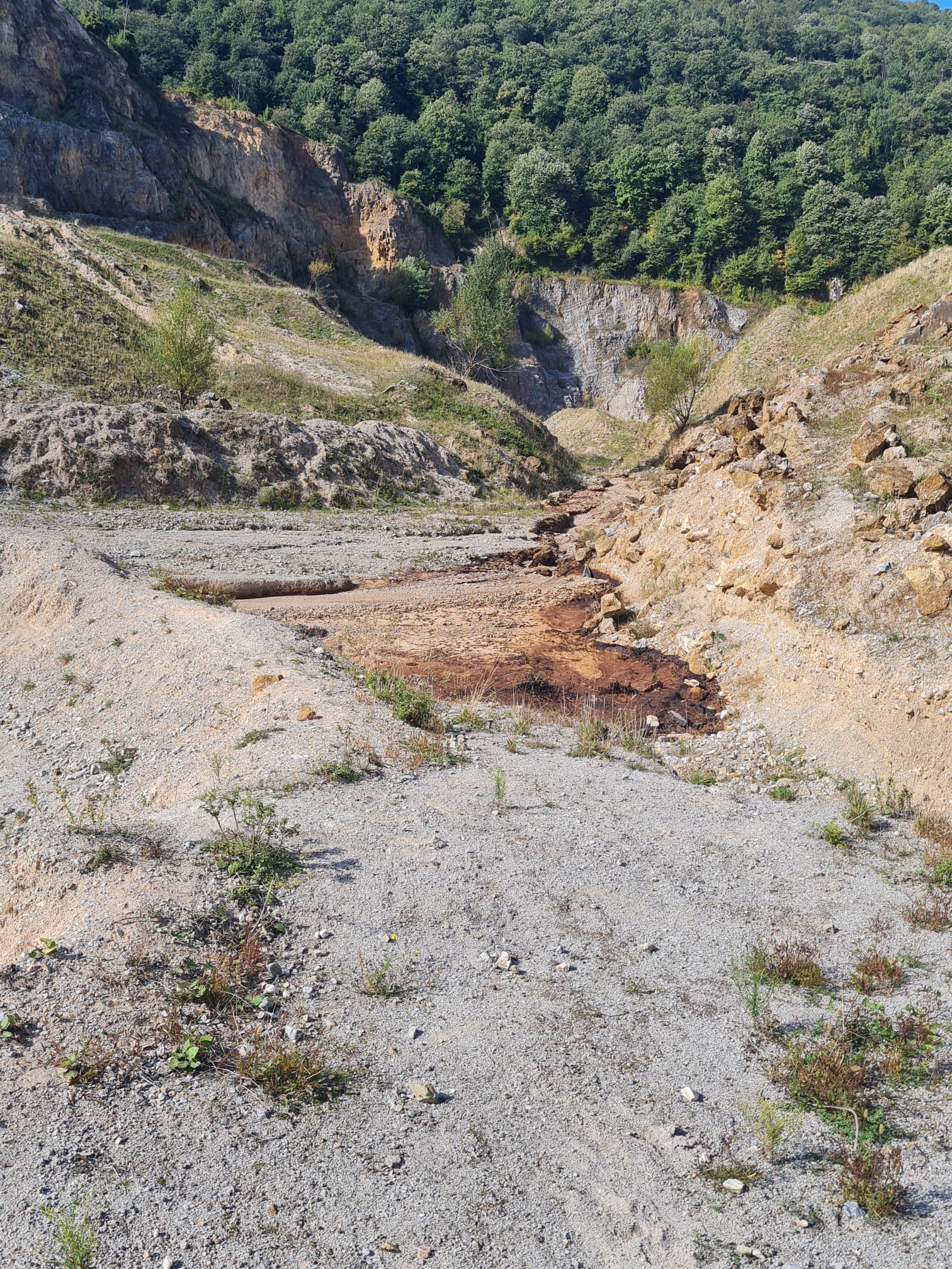 BASIN AÇIKLAMASI: KARTEPE SUADİYE’DE SUDA KOKU PROBLEMİ