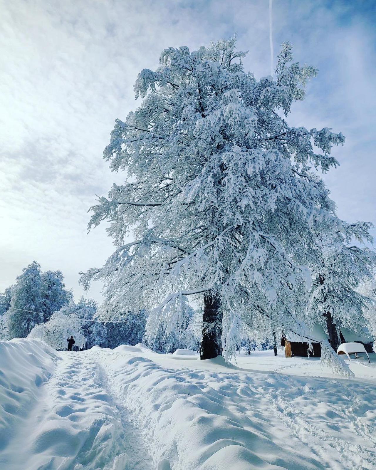 KARTEPE KIŞ MASALI GİBİ