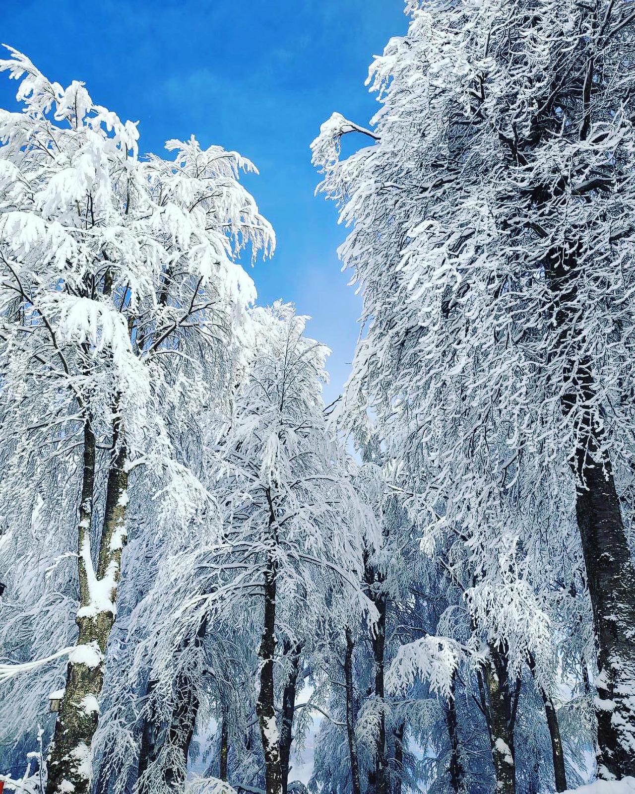 KARTEPE KIŞ MASALI GİBİ