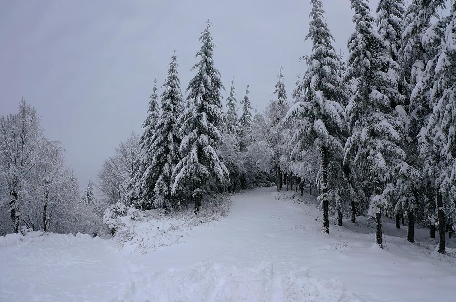 KARTEPE KIŞ MASALI GİBİ