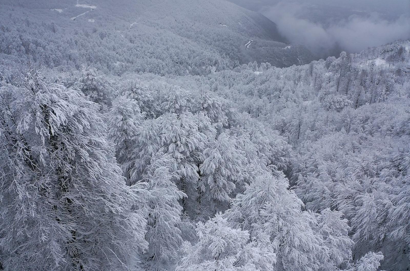 KARTEPE KIŞ MASALI GİBİ
