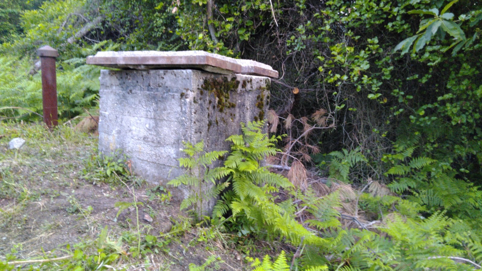 BASIN AÇIKLAMASI
